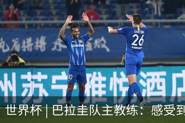 世界杯 | 巴拉圭队主教练：感受到比赛的极致压力