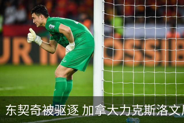 东契奇被驱逐 加拿大力克斯洛文尼亚晋级四强